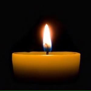 Meet your Posher, Tess